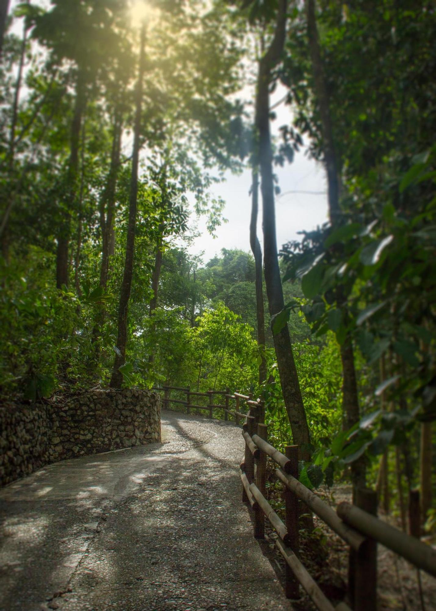 Arenas Del Mar Beachfront&Rainforest Resort Manuel Antonio Exterior foto
